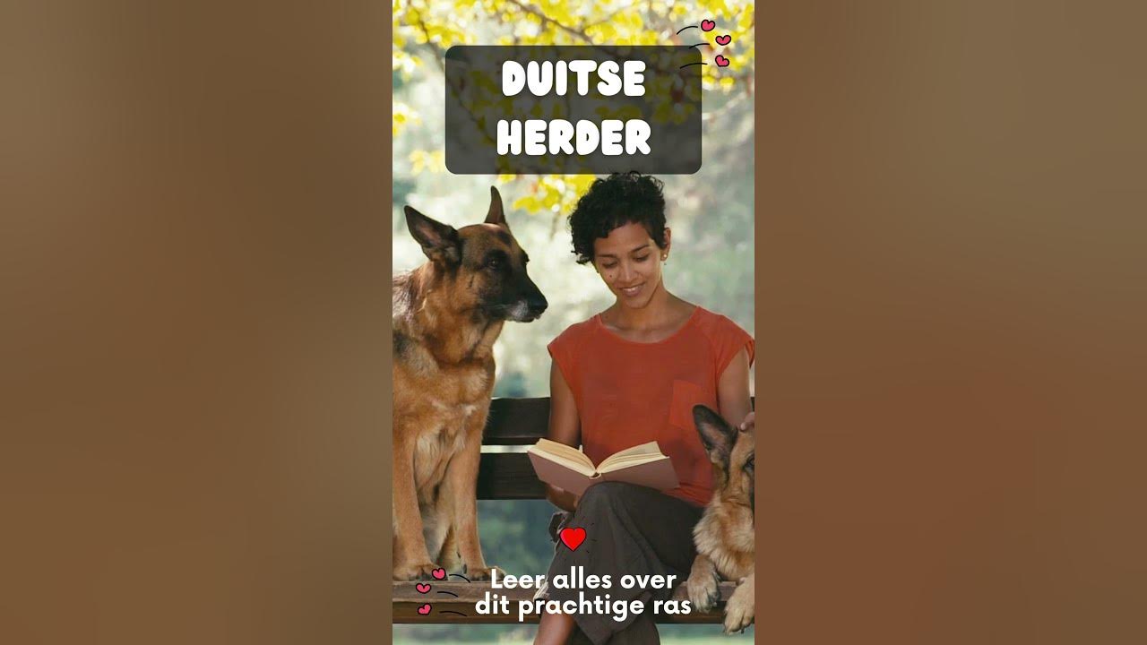 Video thumbnail for Leer alles over je favoriete huisdieren
