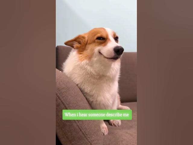 Video thumbnail for when I hear someone describe me