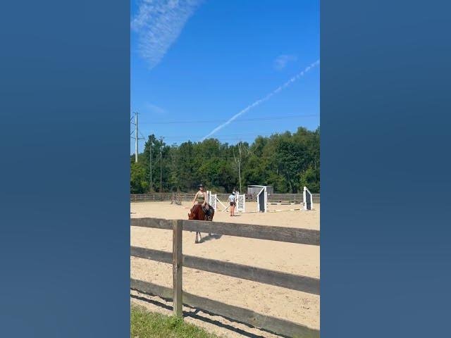 Video thumbnail for MY BEAUTIFUL WHITE HORSE!#whitemagicbolero #equestrianjourney #haveitoldyoulatelythatily #equestrian