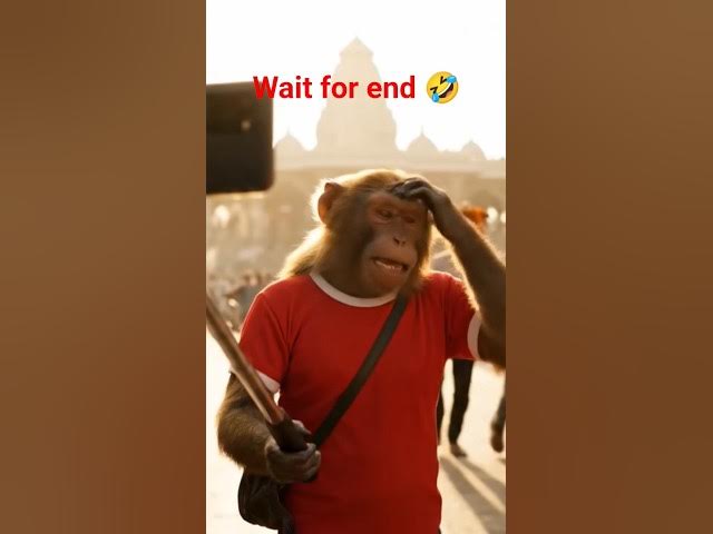 Video thumbnail for Viral Monkey Madness🤣🤣🤣#trending#viral#shorts