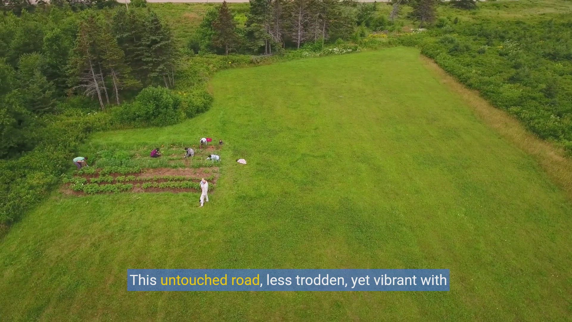 'Video thumbnail for Open Source Unveiled: Collaboration, Challenges, and Community'