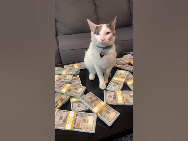 Video thumbnail for Luxury Lifestyle 2