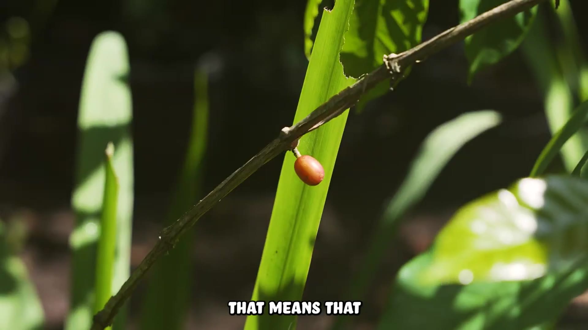 Video thumbnail for I Ate A Poop Grilled Cheese Sandwich (On Purpose)(720P 60FPS)