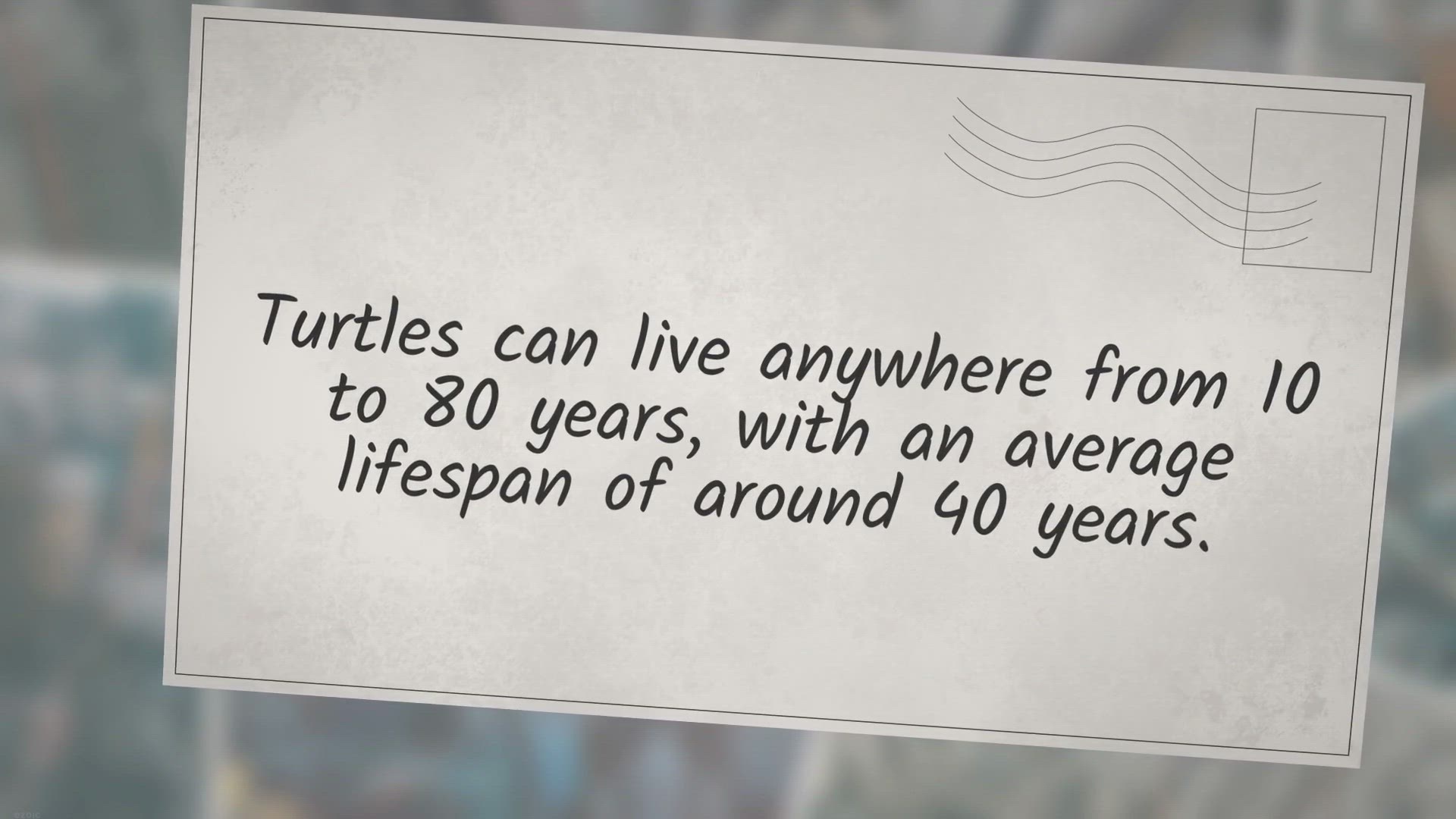 Video thumbnail for how long does a pet turtle live? turtlevoice