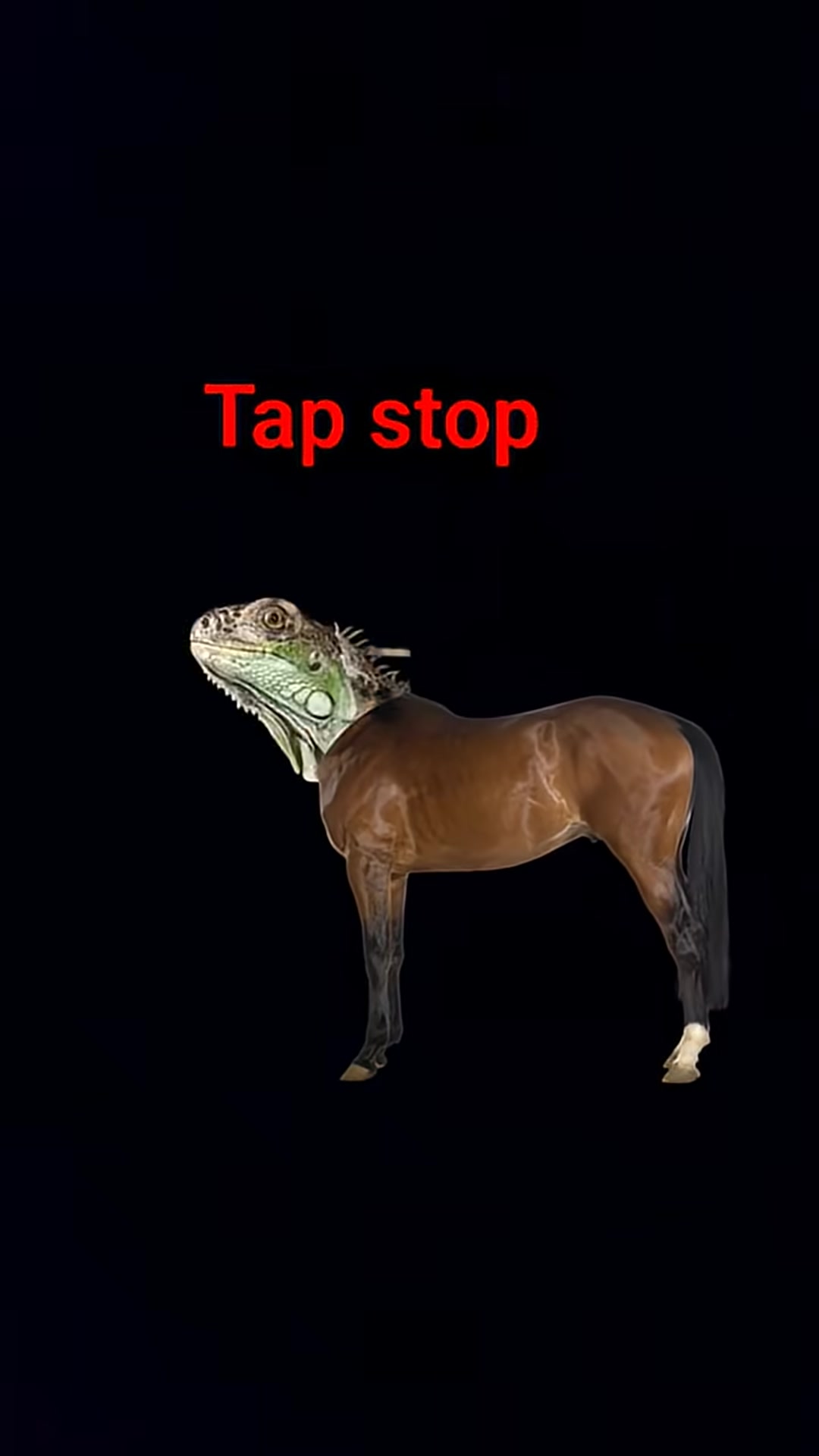 Video thumbnail for 14 February 2026