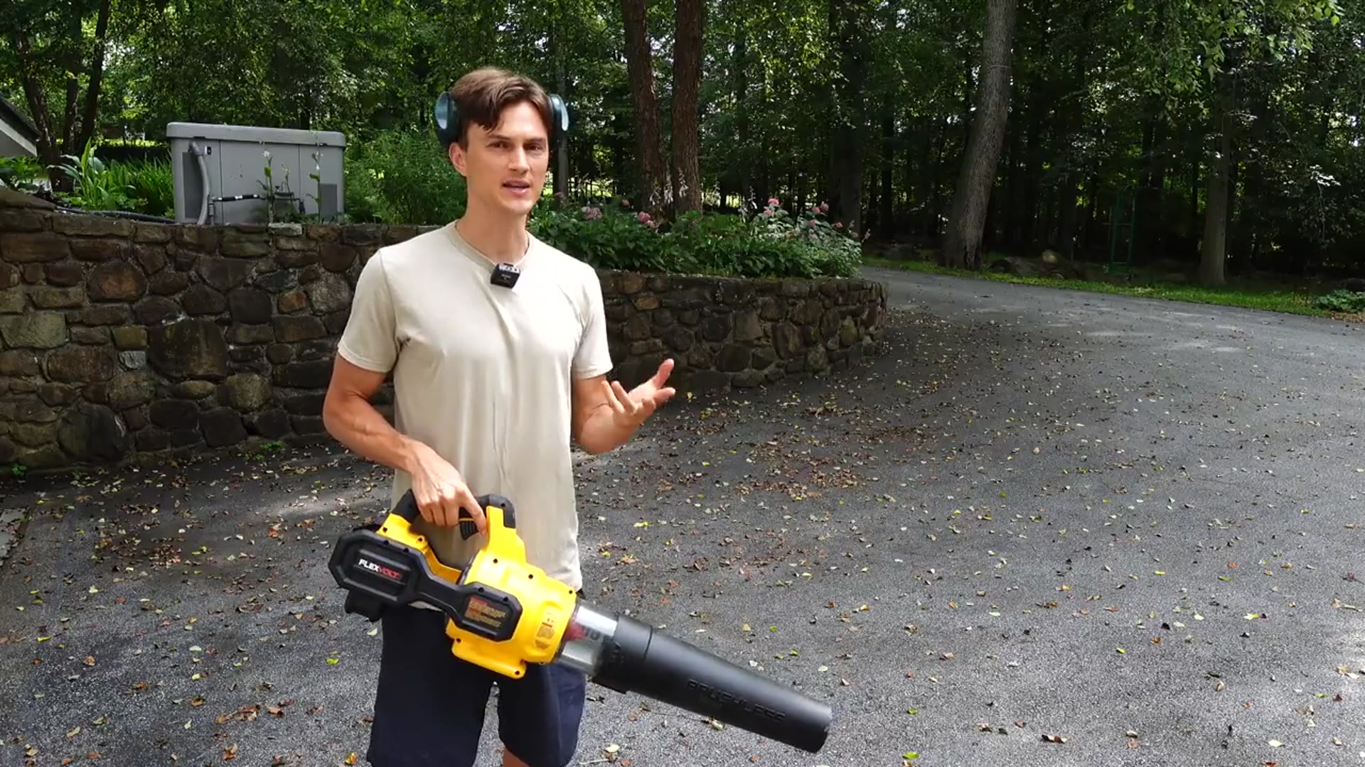 'Video thumbnail for Best Electric Leaf Blower? Dewalt 60V'
