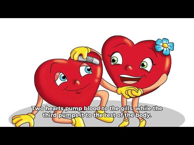 Video thumbnail for 10 Mind-Blowing Fun Facts That Will Amaze You in 2024! 🌍🤯