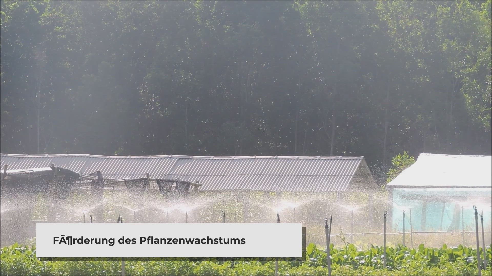 Video thumbnail for Anhäufeln