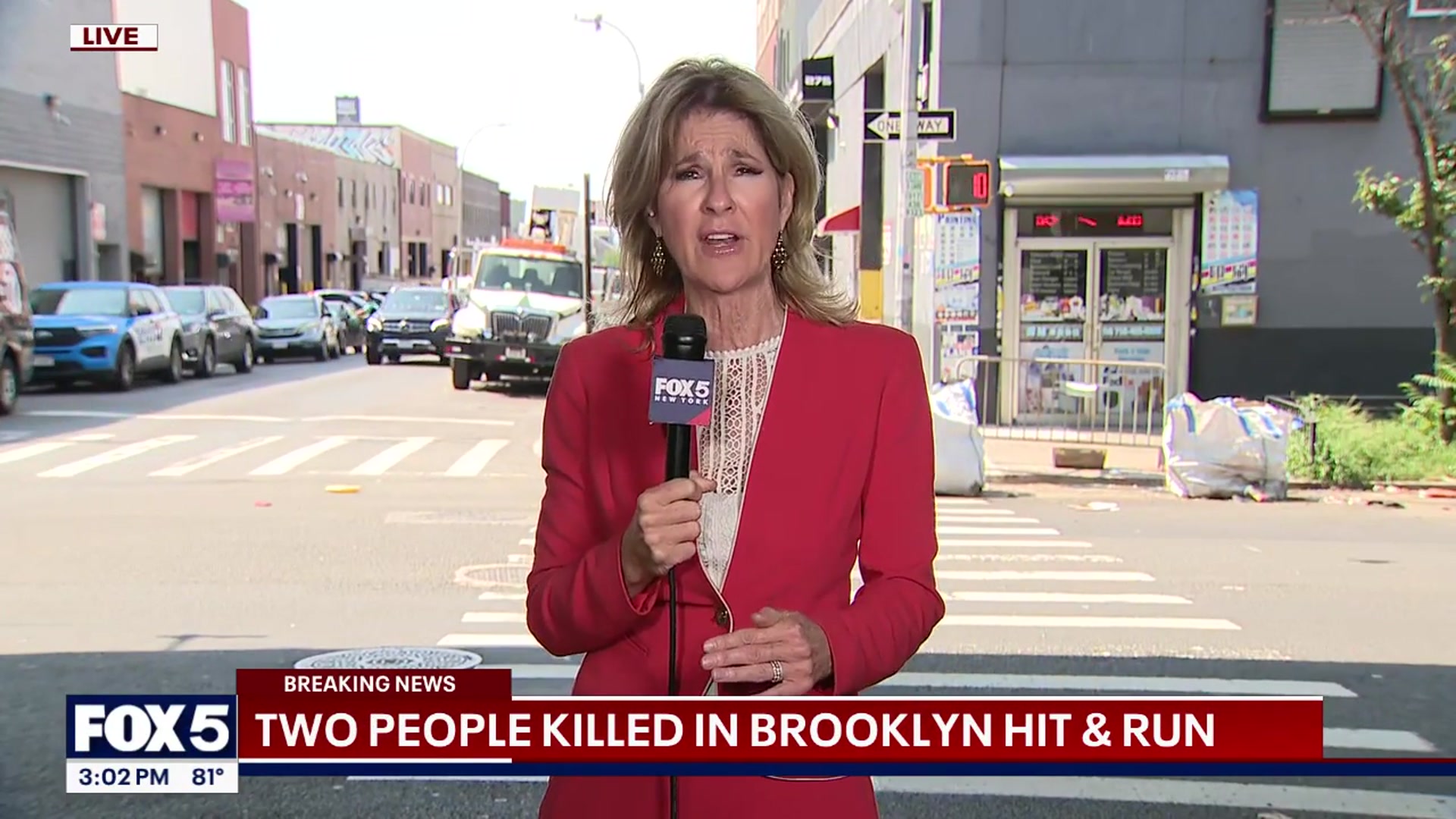 'Video thumbnail for Person in custody after fatal Brooklyn hit-and-run'