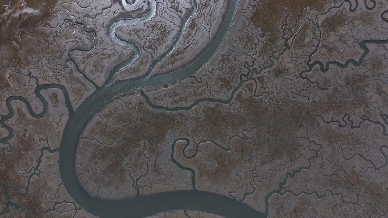 Video thumbnail for US: DRONE - Scenic Ravenswood Slough snakes through wetlands in California.