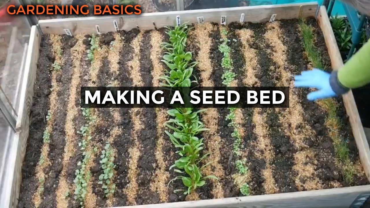 Video thumbnail for Incredibly Easy Cat Proof Seed Bed | Self Sufficient Vegetable Gardening for Beginners