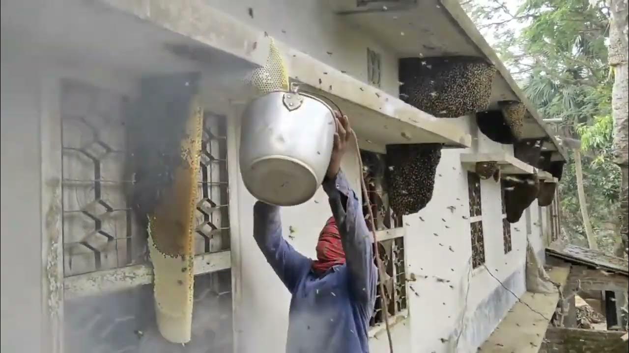 'Video thumbnail for How to Get Rid of Bees'
