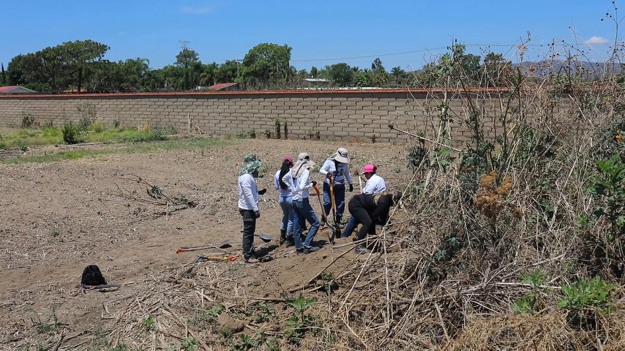 Video thumbnail for Mexico: Search collectives look for missing persons at multiple sites in Mexico.