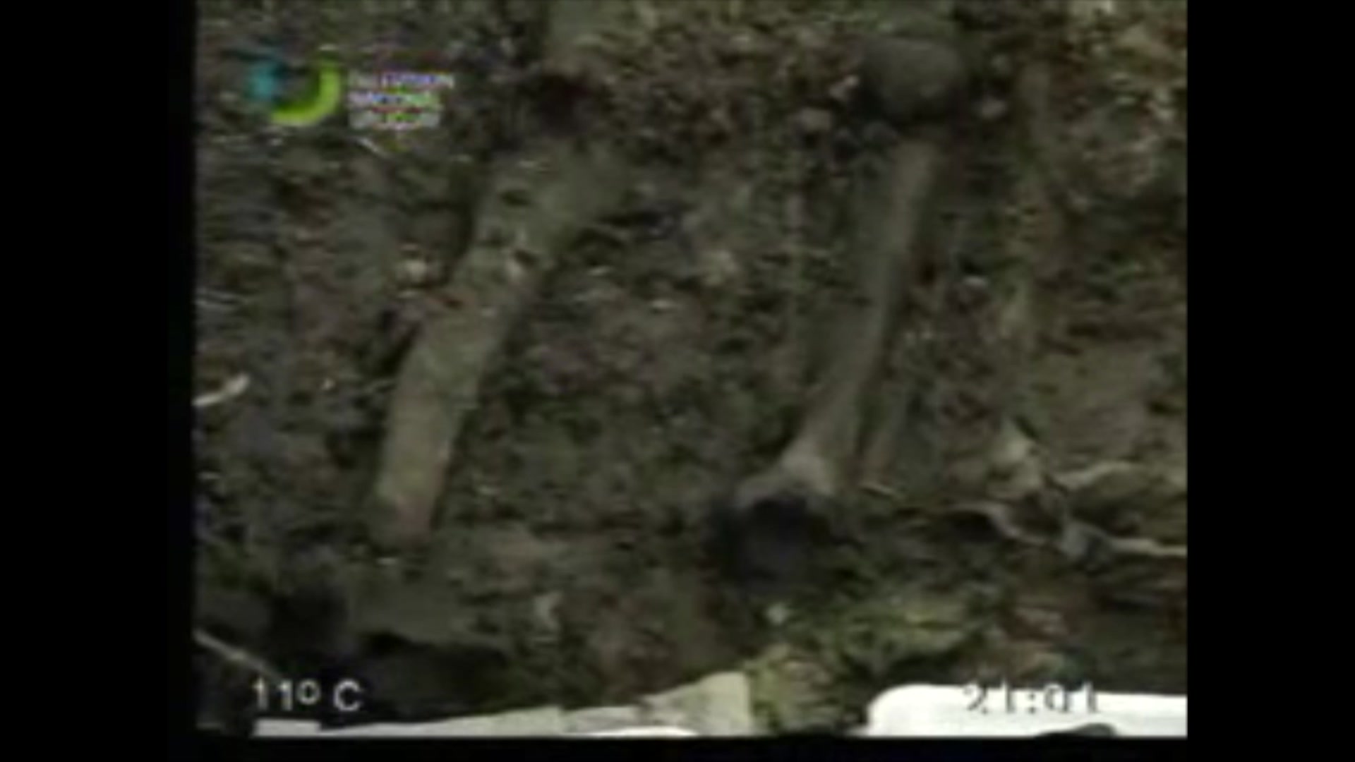 Video thumbnail for Elena Quintero: La Libertad en América Latina