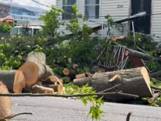 Video thumbnail for Hundreds are without power in Orange after storm brings down tree, wires