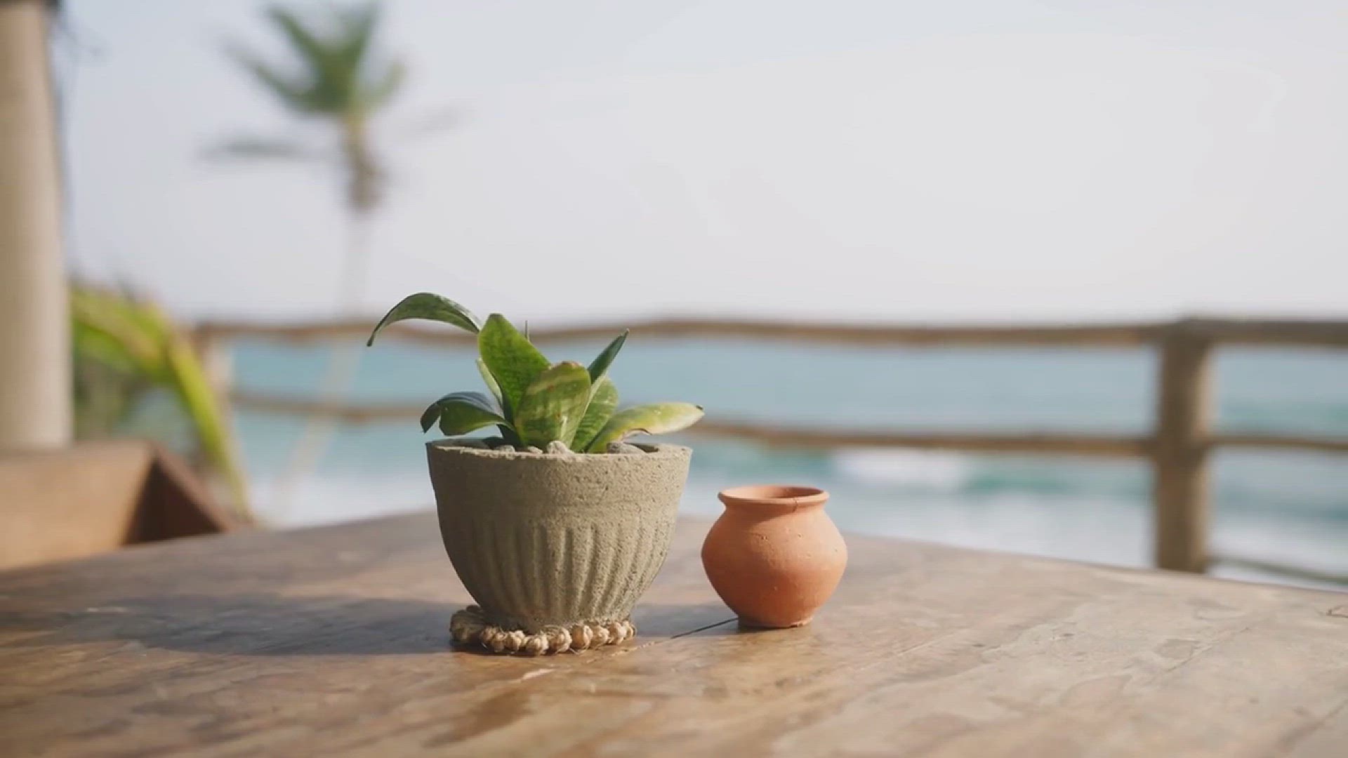 'Video thumbnail for Artificial Plant Landscaping Designs'