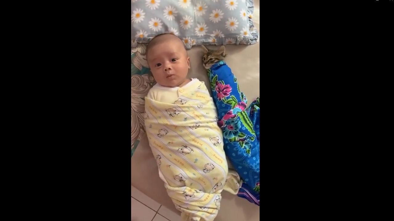 Video thumbnail for Cat and Baby Form an Adorable Bond During a Sweet Cuddle