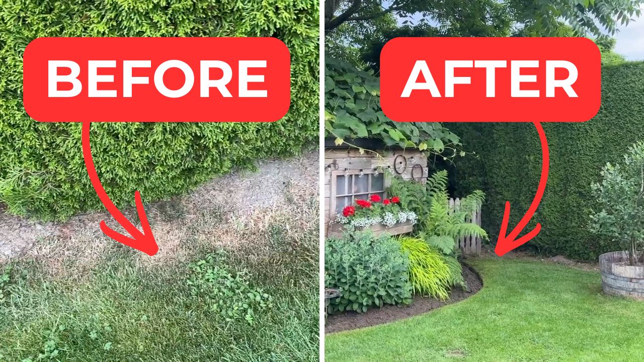 Video thumbnail for The Secret To Professionally Edged Flower Beds No One Else Knows!