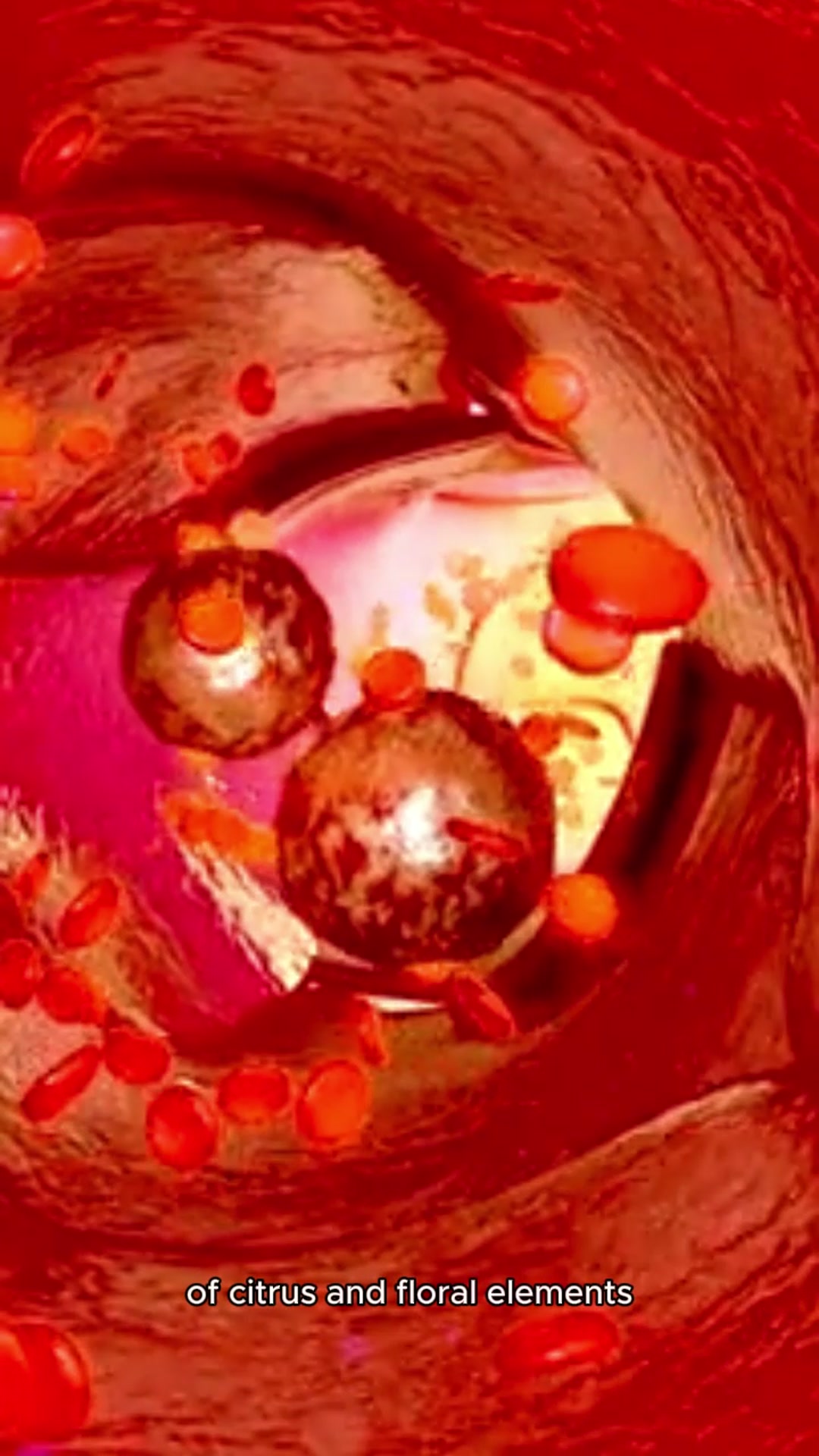 Video thumbnail for Red Bull Spring Edition Grapefruit & Blossom