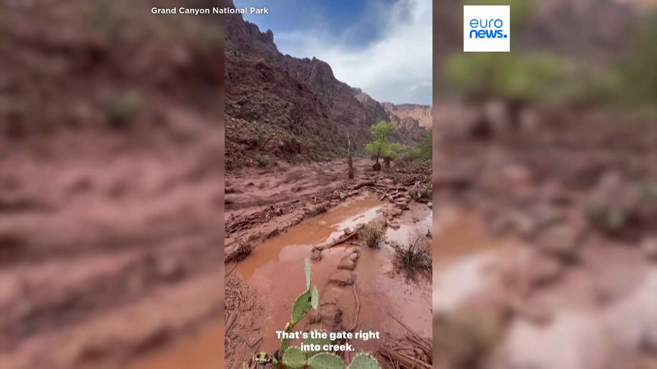 Video thumbnail for Body of 46-year-old man recovered after Grand Canyon flash flood, park service says