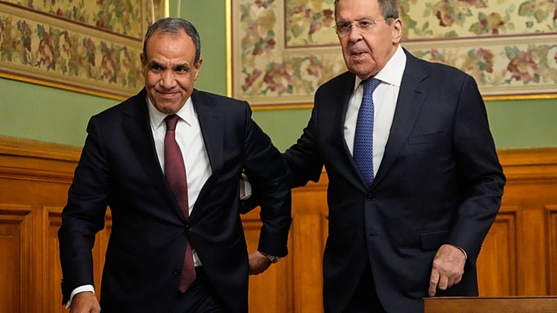 Video thumbnail for Russian and Egyptian FMs hold talks in Moscow