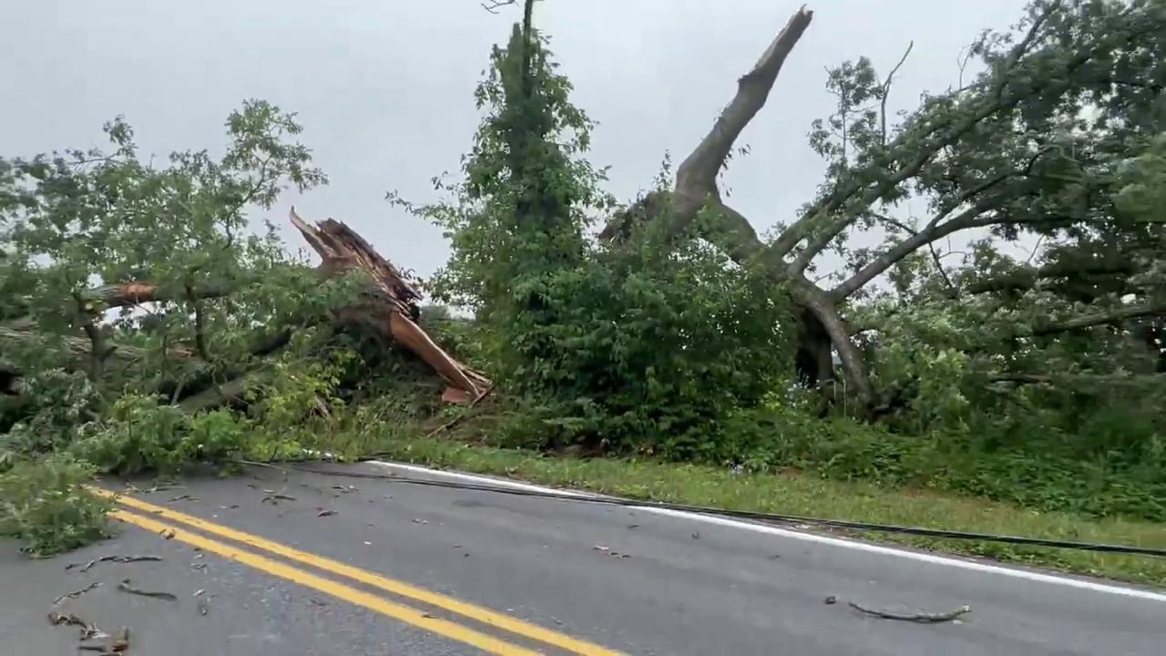 Video thumbnail for US: Storm Tears Through Ephrata Leaving Giant Tree Shredded And Roads Blocked.