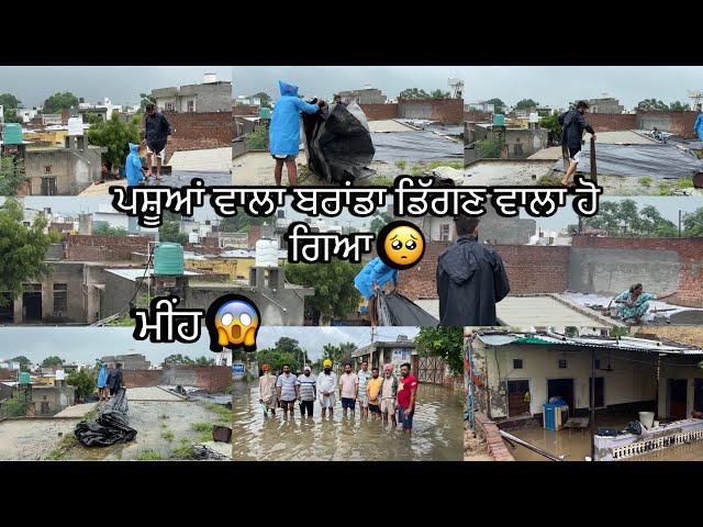 Video thumbnail for ਮੀਂਹ ਹੱਟਣ ਦਾ ਨਾਮ ਹੀ ਨੀ ਲੈਦਾ 🥺ਬਸ ਕਰ ਰੱਬਾ 🥺🙏🏻🌧️#sandeepchahal #punjabivlog !