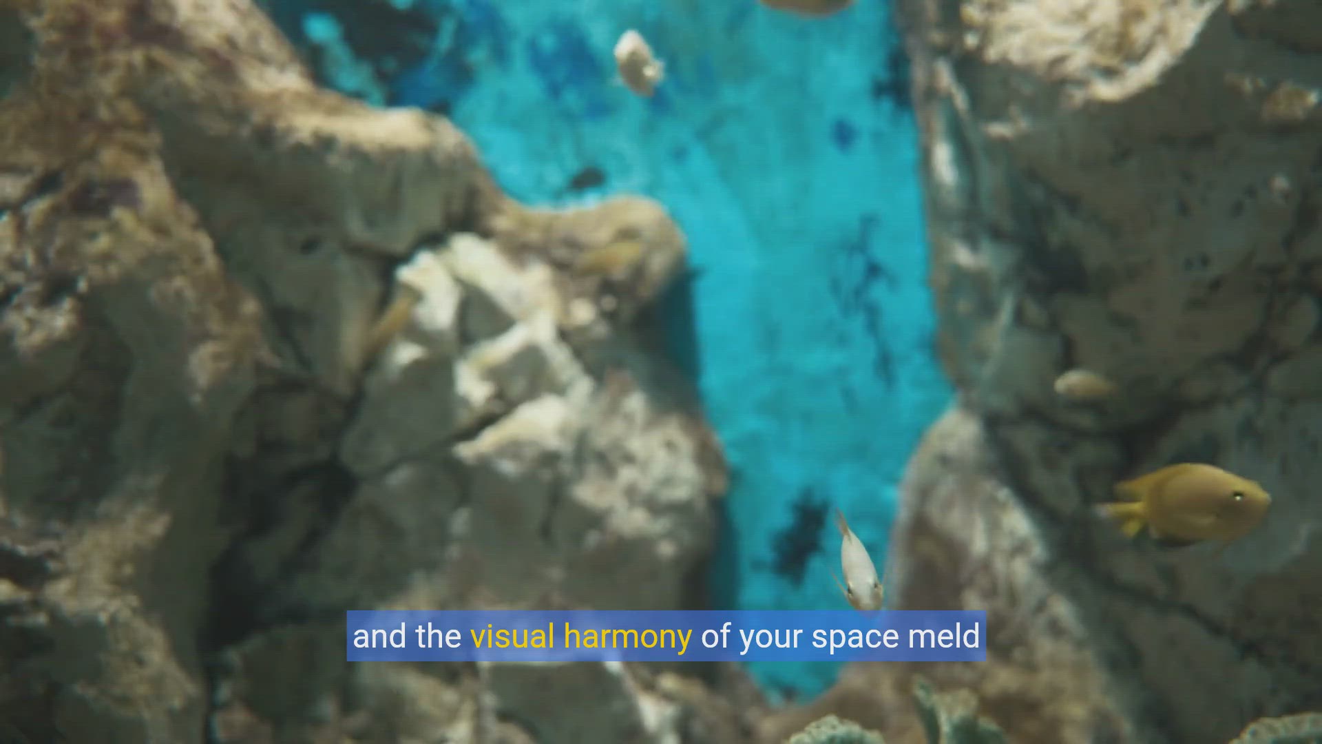 'Video thumbnail for Aquascaping 101: Beautify Your Aquarium & Keep Fish Thriving'