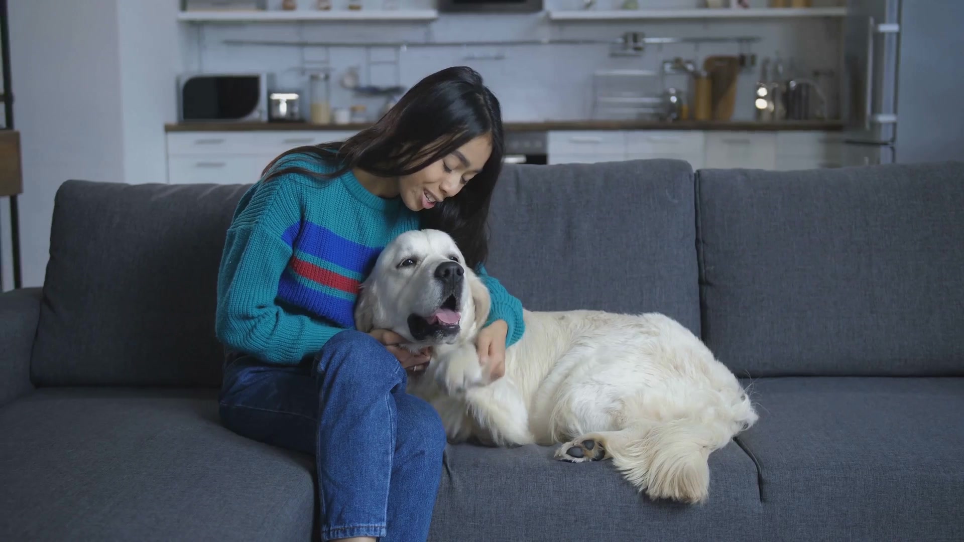 Video thumbnail for Scientists Discover That Dogs Are Entering A New Phase Of Evolution