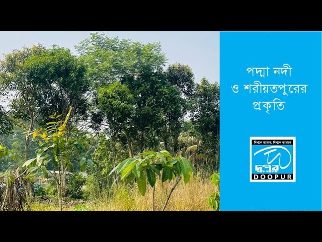 Video thumbnail for পদ্মা নদী ও শরীয়তপুরের প্রকৃতি। NATURE OF BANGLADESH| DOOPUR