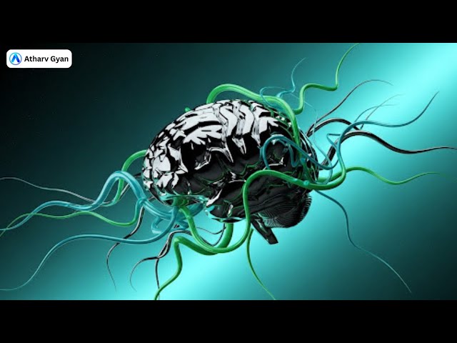 Video thumbnail for Is Your Brain the Next CPU? Brain-Computer Interfaces in 2025