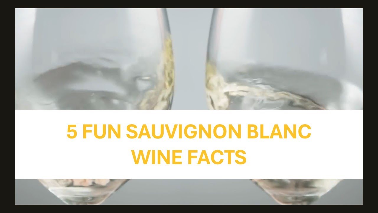 Video thumbnail for 5 Fun Sauvignon Blanc Wine Facts