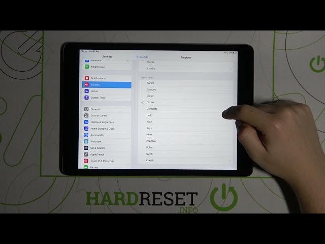 Video thumbnail for Alert Tones on iPad 2021 - Check Out All  iOS Alert Ringtones