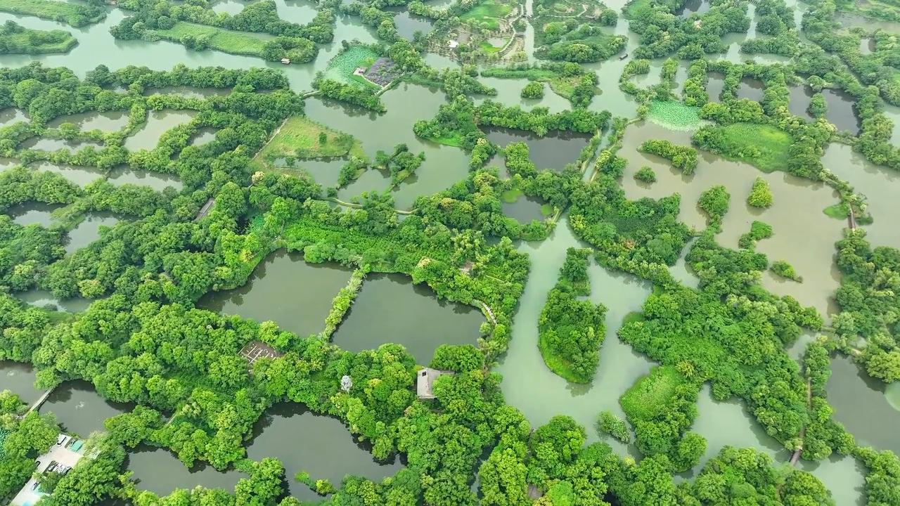 Video thumbnail for China: Xixi Wetland.