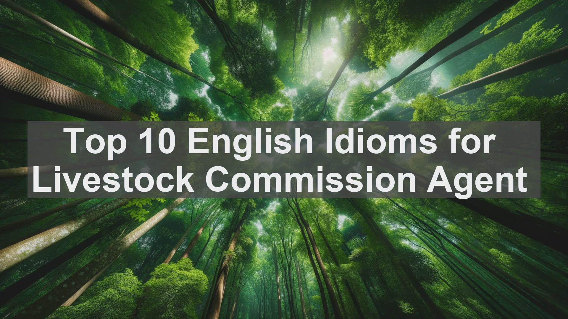 'Video thumbnail for Top 10 English Idioms for Livestock Commission Agent'