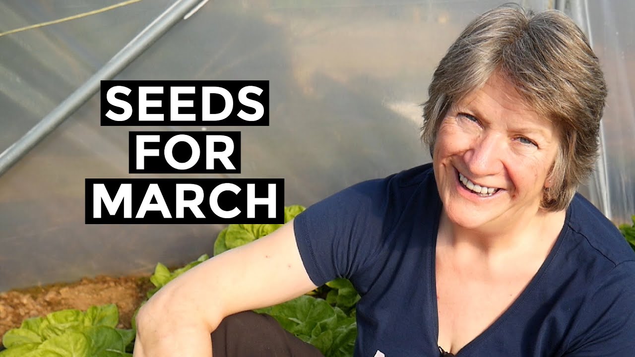 Video thumbnail for What To Sow In MARCH | Easy to grow outdoors
