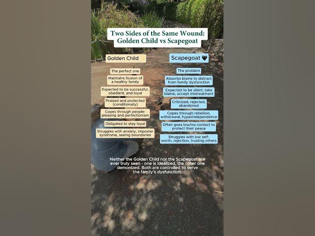 Video thumbnail for Family dynamics aren't random… they're engineered to keep dysfunction alive.