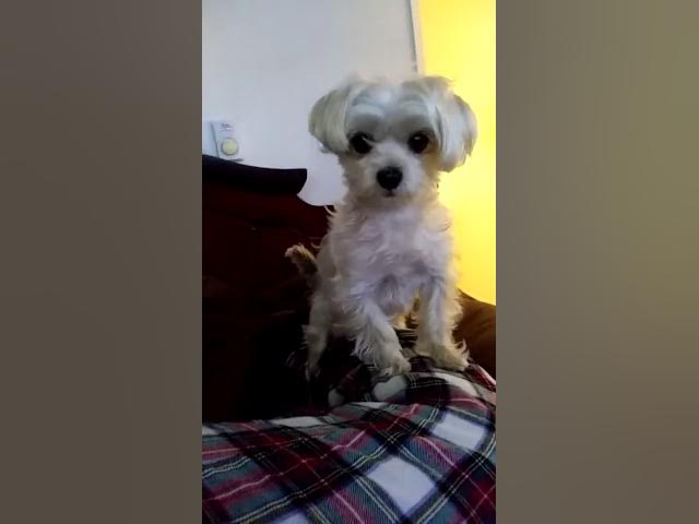 Video thumbnail for March 15, 2020