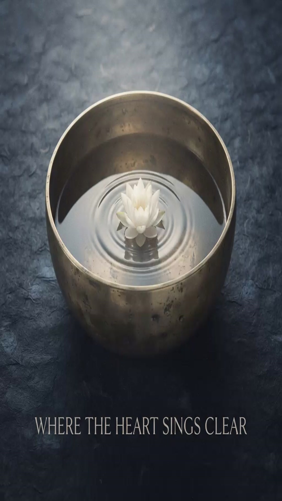 Video thumbnail for 24   Where the Heart Sings Clear