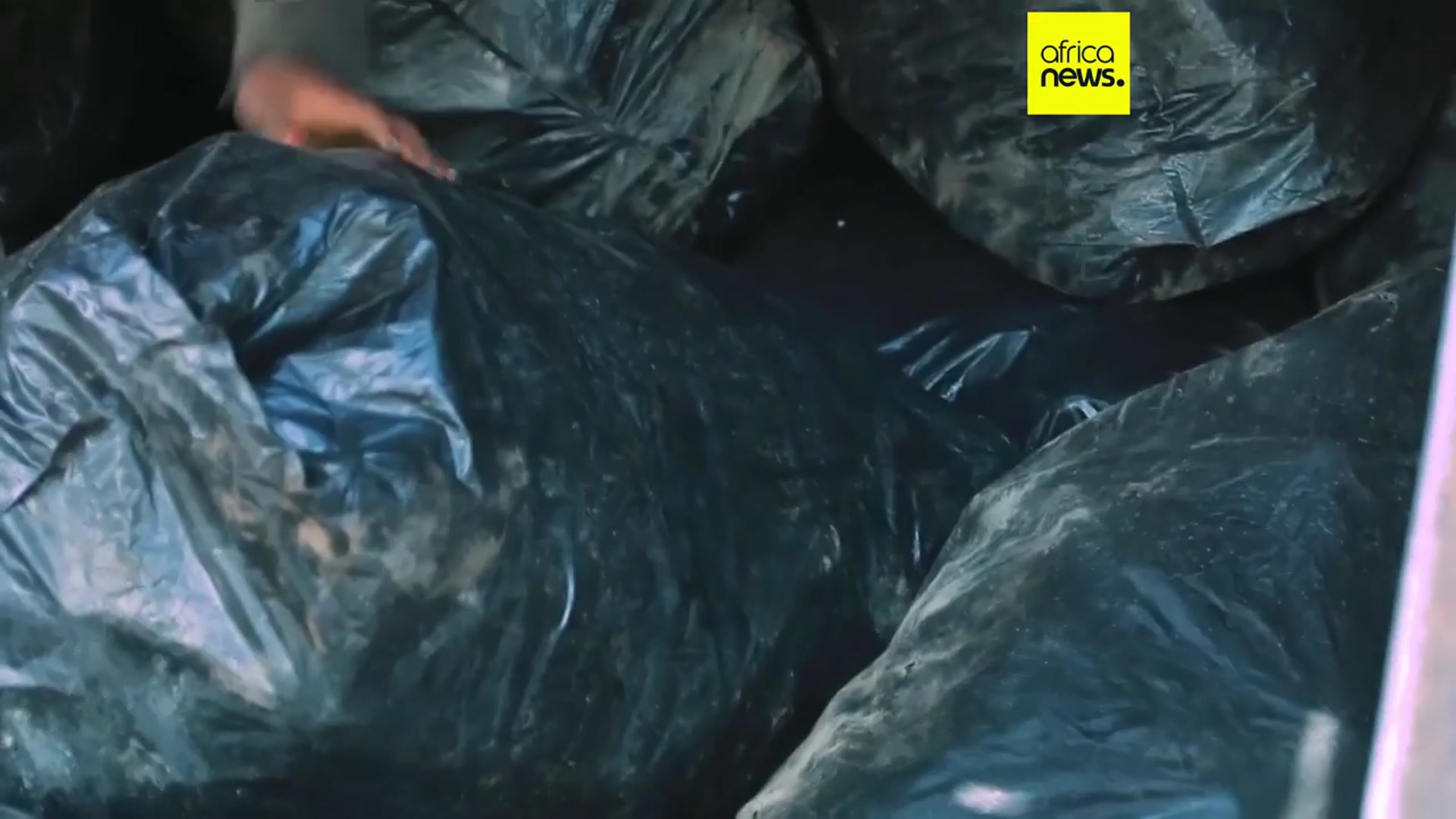 'Video thumbnail for Ethiopia named as host for 2027 UN Climate Summit'