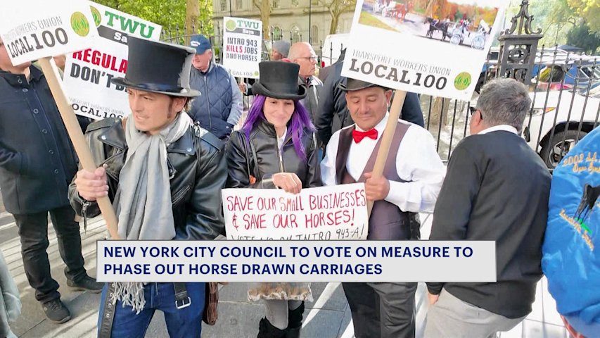 Video thumbnail for Workers rally ahead of vote to phase out horse drawn carriages in NYC