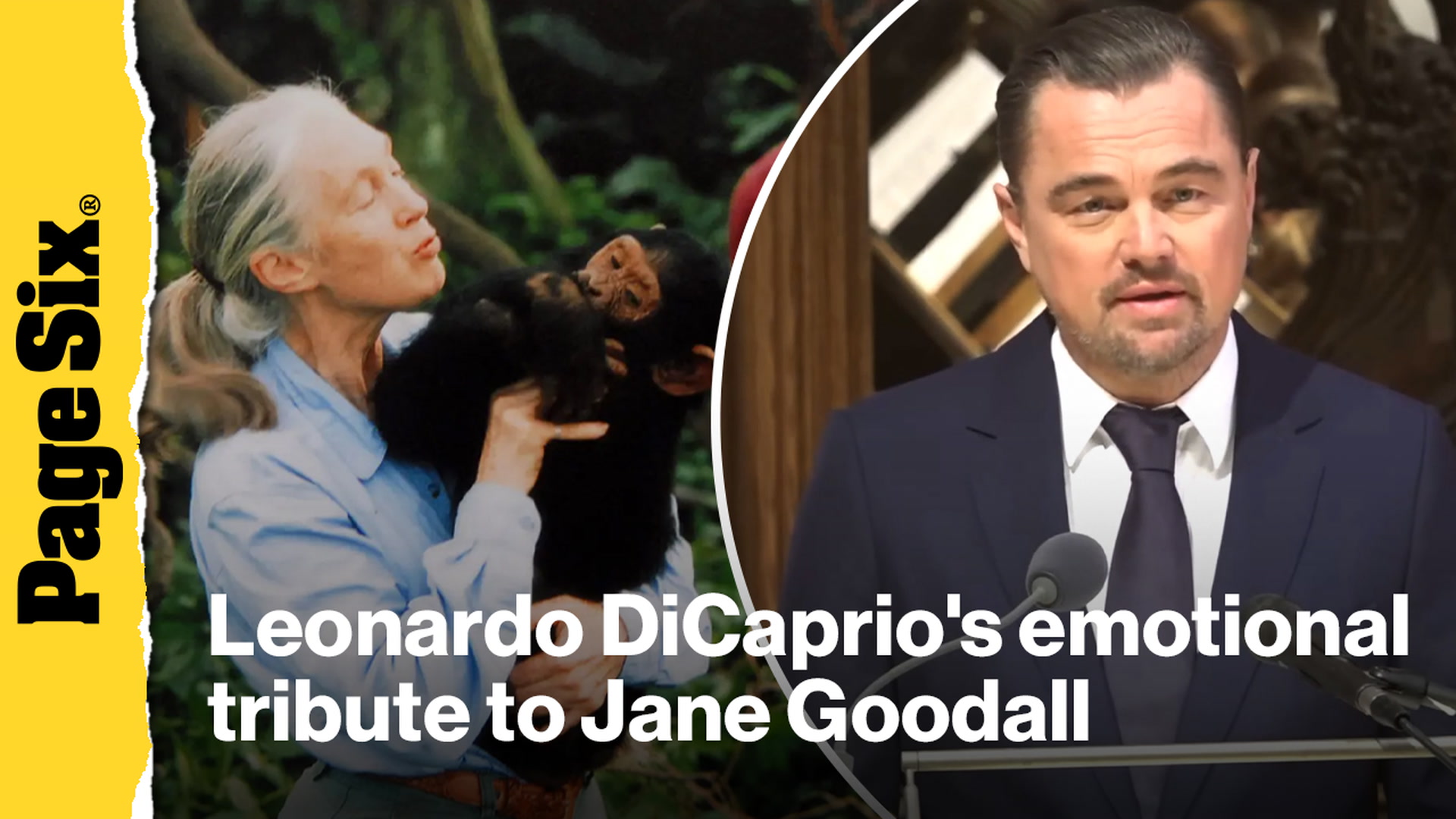 Video thumbnail for Leonardo DiCaprio speaks at Jane Goodall's funeral in Washington, DC