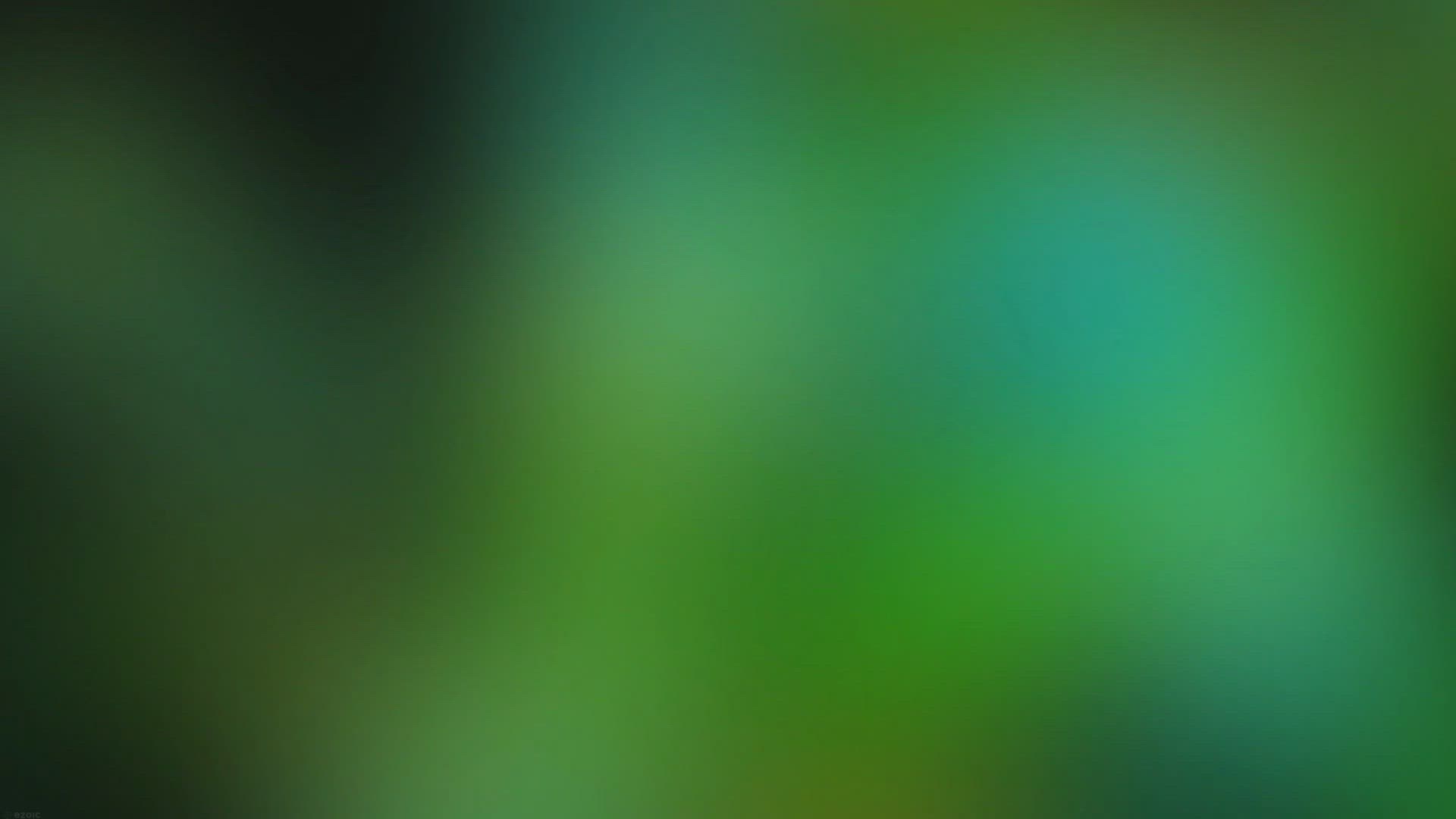 Video thumbnail for Untitled