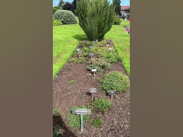 Video thumbnail for Gardens in Ireland