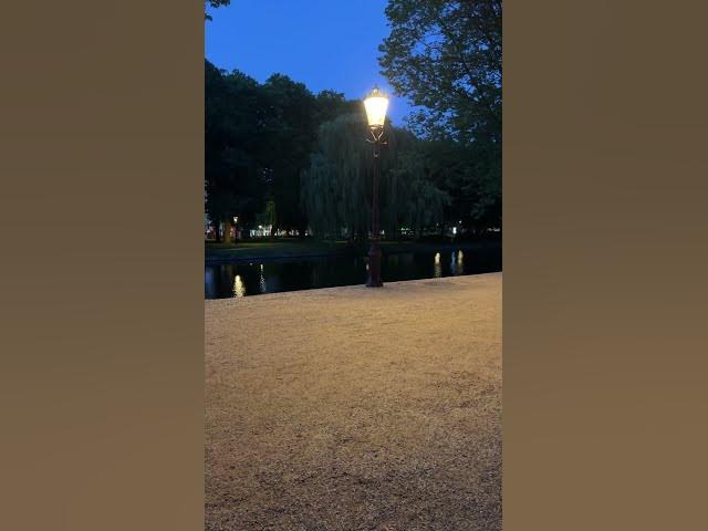 Video thumbnail for River lights