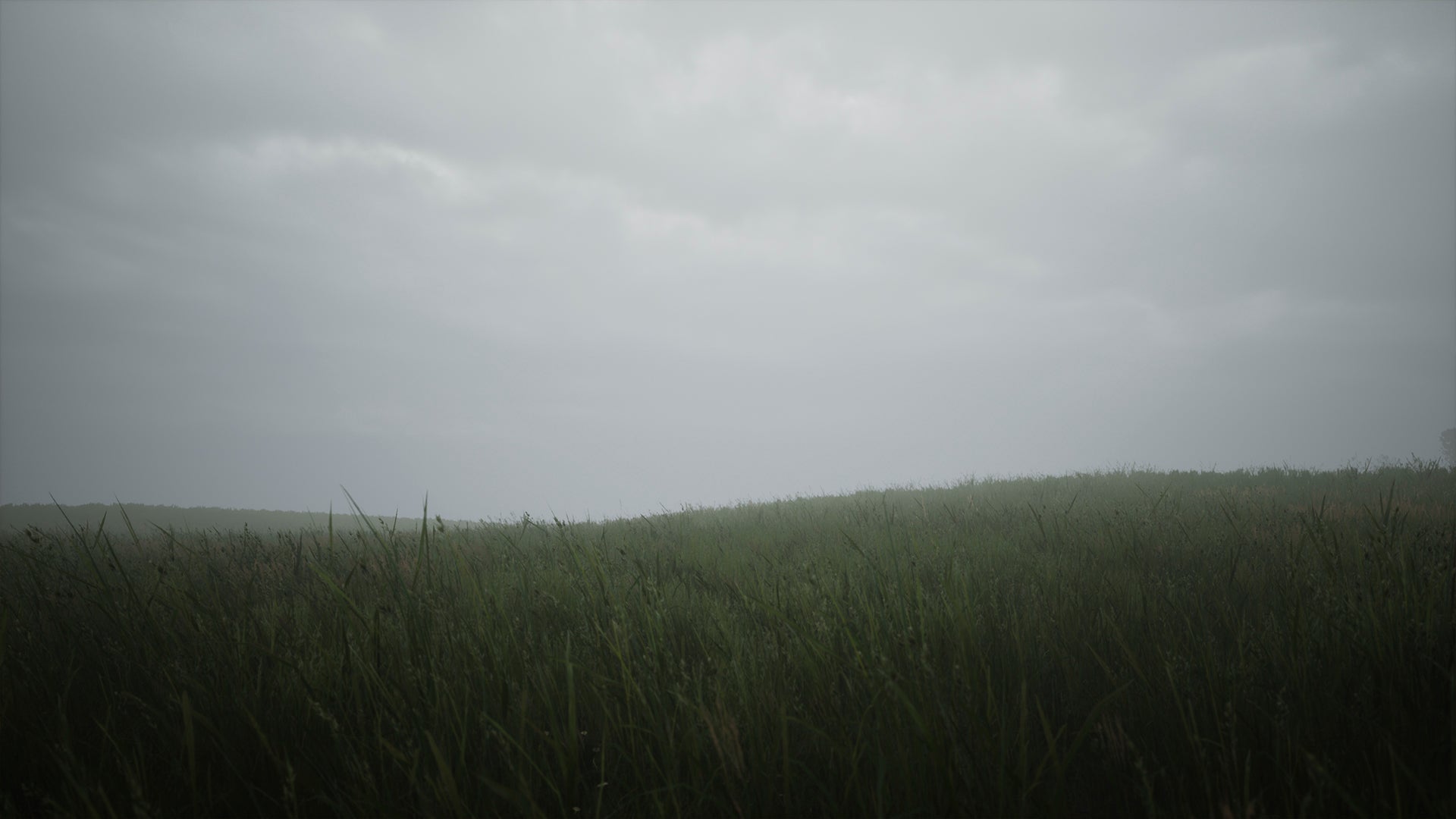 Video thumbnail for Lushfoil Photography Simulator VR - Official Launch Trailer | VR Games Showcase Fall 2025