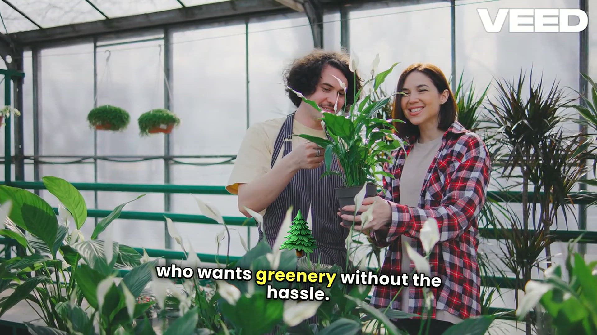 'Video thumbnail for Transform Your Home with Fake Plants'