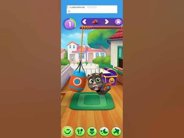 Video thumbnail for 22 октября 2025 г.