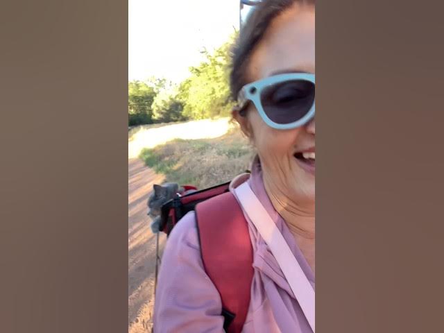 Video thumbnail for Come hike the back of Cathedral Rock with my kitty n me.
