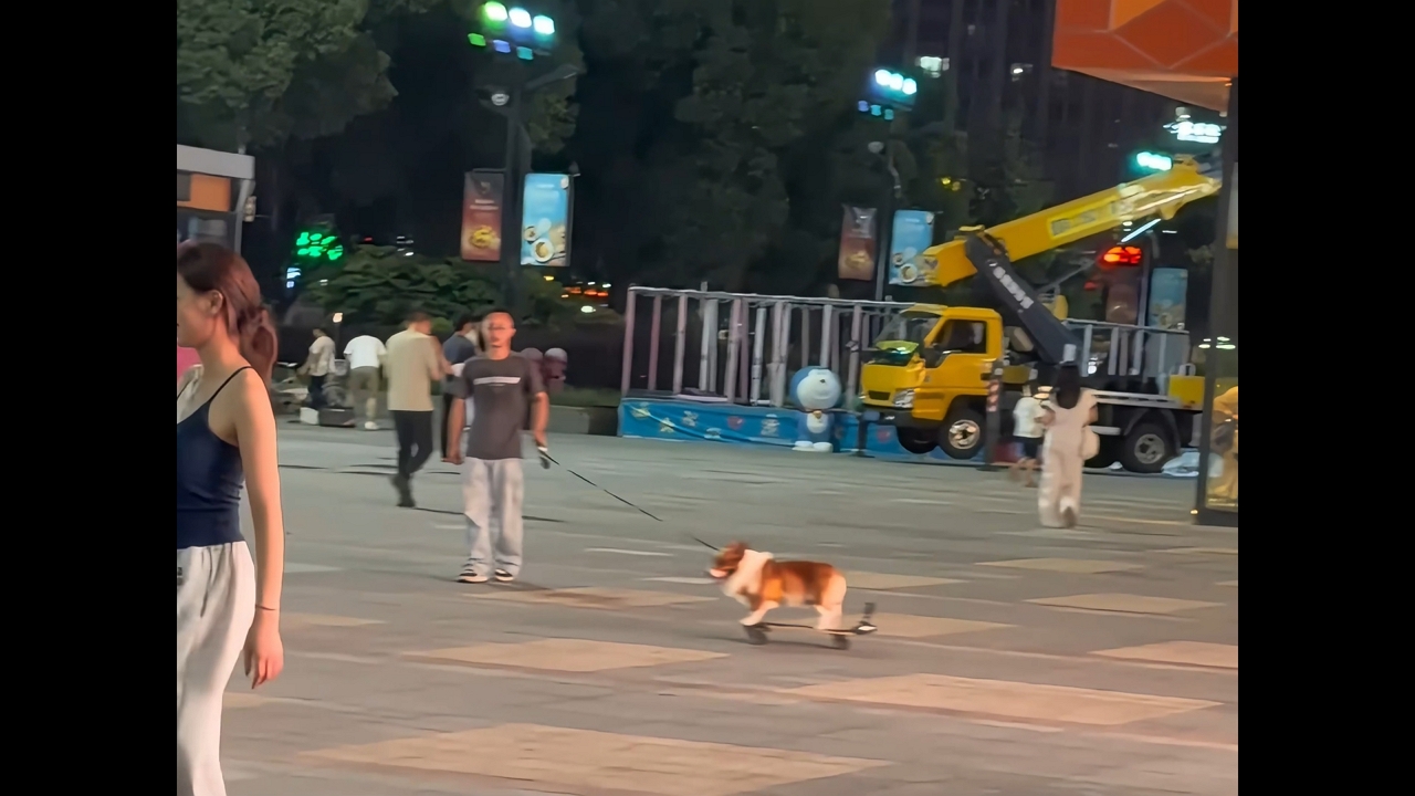 Video thumbnail for Corgi Cruises the Park on a Skateboard